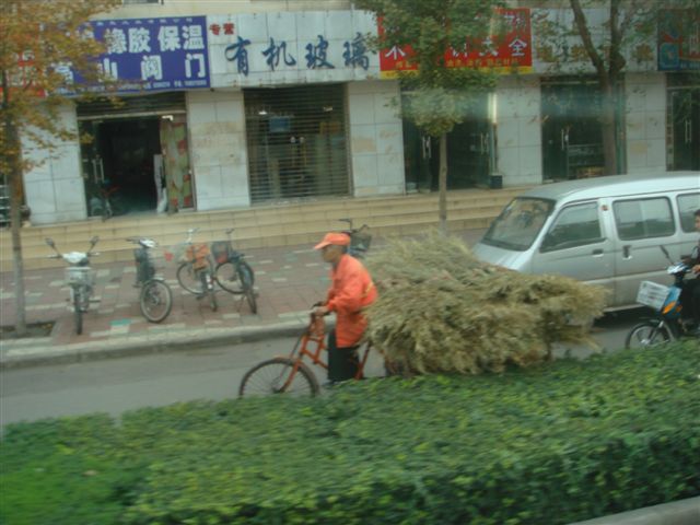 China1/01Louyang02.JPG