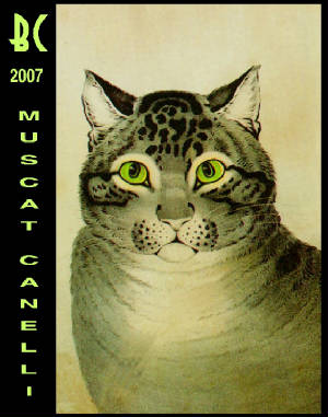 Labels2011Gold/08_MusCanelliGreenEyeCat.jpg